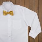 Сорочка нарядная для мальчика, рост 98-104 см (27), цвет белый - Фото 5