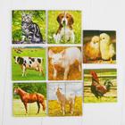 Картинки-половинки «Домашние животные» - фото 5878633