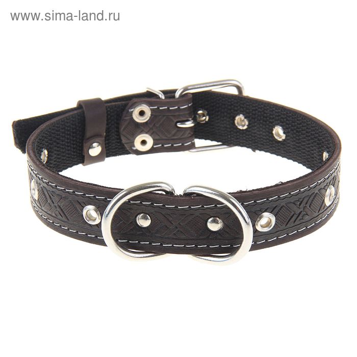 Ошейник кожаный усиленный капроном с полукольцом, 55 х 3 см, ОШ 30-57 см, микс цветов - Фото 1