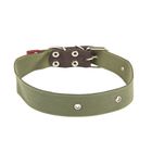 Ошейник брезентовый однослойный, 70 х 3,5 см, ОШ 30-55 см, тёмно-зелёный - Фото 1