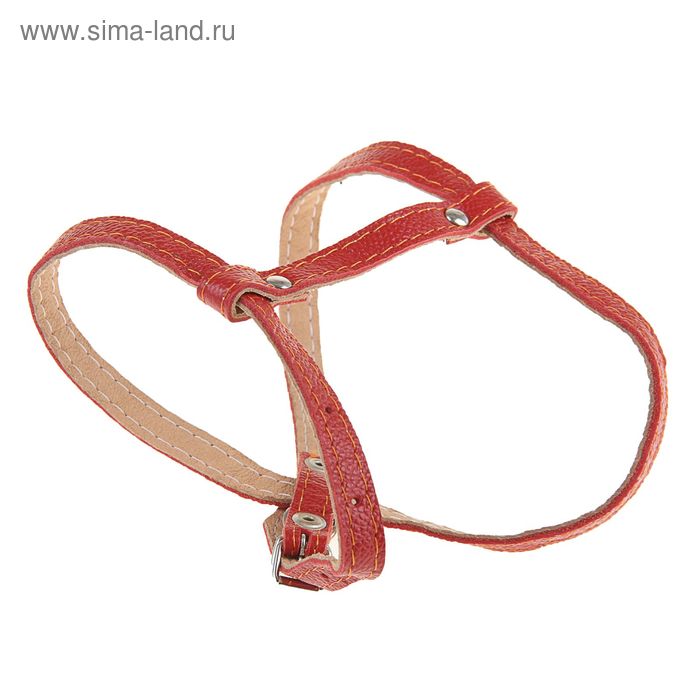 Шлейка HUNTER Manoa Vario Rapid черный, XS 92718 - купить в интернет-магазине по