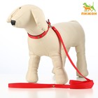 Комплект капроновый, поводок 140 см, ошейник 30 см, ширина 1,2 см, микс цветов - Фото 1