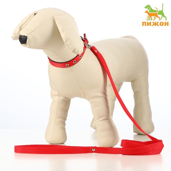 Комплект капроновый, поводок 140 см, ошейник 30 см, ширина 1,2 см, микс цветов - Фото 1