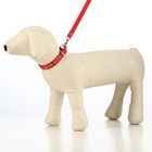 Комплект капроновый, поводок 140 см, ошейник 30 см, ширина 1,2 см, микс цветов - Фото 5