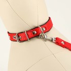 Комплект капроновый, поводок 140 см, ошейник 30 см, ширина 1,2 см, микс цветов - Фото 6