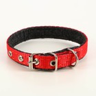 Комплект капроновый, поводок 140 см, ошейник 30 см, ширина 1,2 см, микс цветов - Фото 7