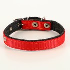 Комплект капроновый, поводок 140 см, ошейник 30 см, ширина 1,2 см, микс цветов - Фото 2