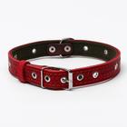 Ошейник комбинированный кожа/брезент, 56 х 2,5 см, безразмерный, микс - Фото 5