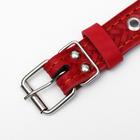 Ошейник комбинированный кожа/брезент, 56 х 2,5 см, безразмерный, микс - Фото 2