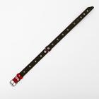 Ошейник комбинированный кожа/брезент, 56 х 2,5 см, безразмерный, микс - Фото 3