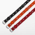 Ошейник комбинированный кожа/брезент, 56 х 2,5 см, безразмерный, микс - Фото 4