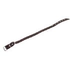 Ошейник плетёный, 42×2 см, ОШ 35-45 см, кожа, цвет МИКС - Фото 4