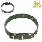 Ошейник брезентовый однослойный, 52×2 см, ОШ 25-45 см, тёмно-зелёный - Фото 1