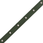 Ошейник брезентовый однослойный, 52×2 см, ОШ 25-45 см, тёмно-зелёный - Фото 2