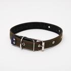 Ошейник брезентовый на фетре, 64×3 см, ОШ 30-55 см, тёмно-зелёный - Фото 1