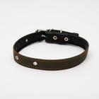 Ошейник брезентовый на фетре, 64×3 см, ОШ 30-55 см, тёмно-зелёный - Фото 2