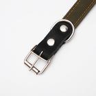 Ошейник брезентовый на фетре, 64×3 см, ОШ 30-55 см, тёмно-зелёный - Фото 3