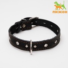 Ошейник кожаный тисненый однослойный, безразмерный, 3×60 см, ОШ 42-55 см, микс цветов - Фото 2