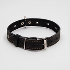 Ошейник кожаный тисненый однослойный, безразмерный, 3×60 см, ОШ 42-55 см, микс цветов - Фото 3