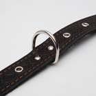 Ошейник кожаный тисненый однослойный, безразмерный, 3×60 см, ОШ 42-55 см, микс цветов - Фото 5