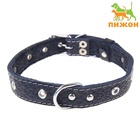 Ошейник кожаный тисненый на фетре, 54×2.5 см, безразмерный, микс цветов - Фото 3