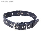 Ошейник кожаный тисненый на фетре, 54×2.5 см, безразмерный, микс цветов - Фото 4