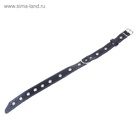 Ошейник кожаный тисненый на фетре, 54×2.5 см, безразмерный, микс цветов - Фото 2