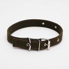 Ошейник брезентовый двухслойный, 62×3 см, ОШ 30-55 см, тёмно-зелёный - Фото 1
