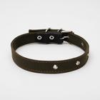 Ошейник брезентовый двухслойный, 62×3 см, ОШ 30-55 см, тёмно-зелёный - Фото 2