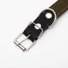 Ошейник брезентовый двухслойный, 62×3 см, ОШ 30-55 см, тёмно-зелёный - Фото 3