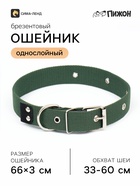 Ошейник брезентовый однослойный, 66×3 см, ОШ 33-60 см, тёмно-зелёный - Фото 1