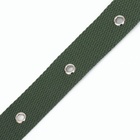 Ошейник брезентовый однослойный, 66×3 см, ОШ 33-60 см, тёмно-зелёный - Фото 16