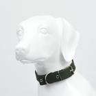 Ошейник брезентовый однослойный, 66×3 см, ОШ 33-60 см, тёмно-зелёный - Фото 3