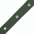 Ошейник брезентовый однослойный, 66×3 см, ОШ 33-60 см, тёмно-зелёный - Фото 8