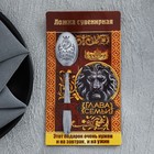 Ложка чайная «Глава семьи», на открытке, 3×14 см - Фото 6