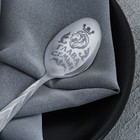 Ложка чайная «Глава семьи», на открытке, 3×14 см - Фото 2