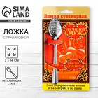 Ложка чайная с гравировкой «Лучший муж», на подарочной открытке, 3×14 см - Фото 1