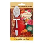 Ложка с гравировкой сувенирная на открытке "Лучший учитель" - Фото 1