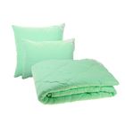 Одеяло "Этель" Алоэ-Вера 200*220 см, сатин, 300 гр/м2 - Фото 3