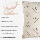 Подушка «Этель», подстёжка — овечья шерсть, 70×70 см, тик - Фото 3