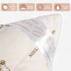 Подушка «Этель», подстёжка — овечья шерсть, 70×70 см, тик - Фото 4