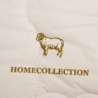 Одеяло "Этель" Овечья шерсть 110*140 см, тик, 300 гр/м2 - Фото 2