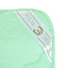 Одеяло "Этель" Алоэ-Вера 172*205 см, сатин, 300 гр/м2 - Фото 2