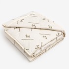 Одеяло «Этель» овечья шерсть, 172×205 см, тик, 300 г/м² - Фото 4