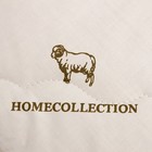 Одеяло «Этель», овечья шерсть, 200×220 см, тик, 300 г/м² - Фото 2