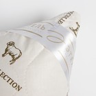 Подушка "Этель", подстёжка — овечья шерсть, 50х70 см, тик - Фото 2