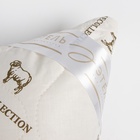 Подушка «Этель», подстёжка — овечья шерсть, 50×70 см, тик - Фото 7