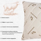 Подушка «Этель», подстёжка — овечья шерсть, 50×70 см, тик - Фото 3