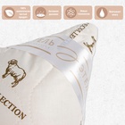 Подушка «Этель», подстёжка — овечья шерсть, 50×70 см, тик - Фото 4