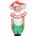 Детский карнавальный костюм "Гриб", 5-7 лет, рост 122-134 см - Фото 1